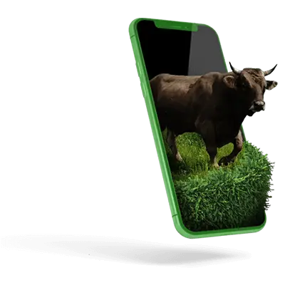 KellőFarm saját Kárpáti Borzderesből készült termékei