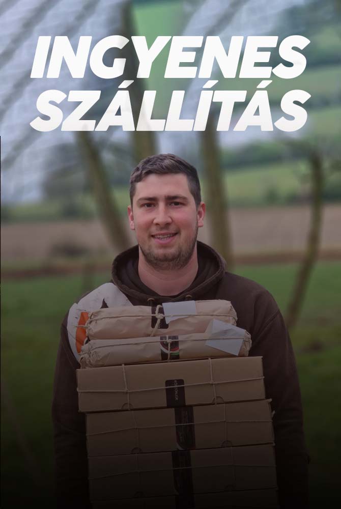 Ingyenes szállítási lehetőség